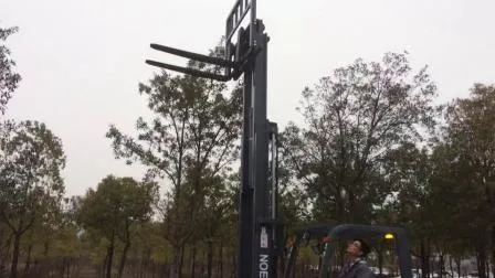 Cheap Price of Forklift 6000lbs LPG Gas Gasoline Dual Fuel Propane Forklift Truck 