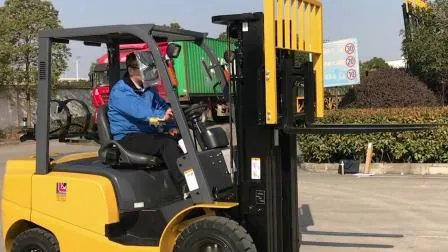 China Tcm Model Omft 2.5t LPG Gas Dual Fuel Petrol LPG Gasoline Forklift Fg20 with Impco 